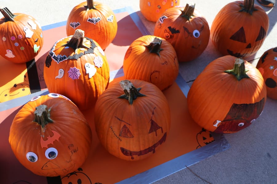 Pumpkin Plunge_20251018 (129)