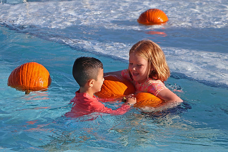 Pumpkin Plunge_20251018 (67)