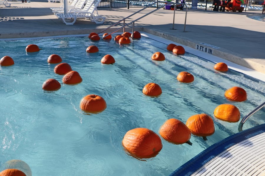 Pumpkin Plunge_20251018 (8)