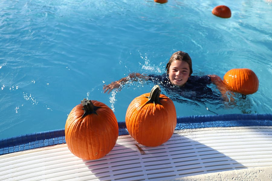 Pumpkin Plunge_20251018 (44)