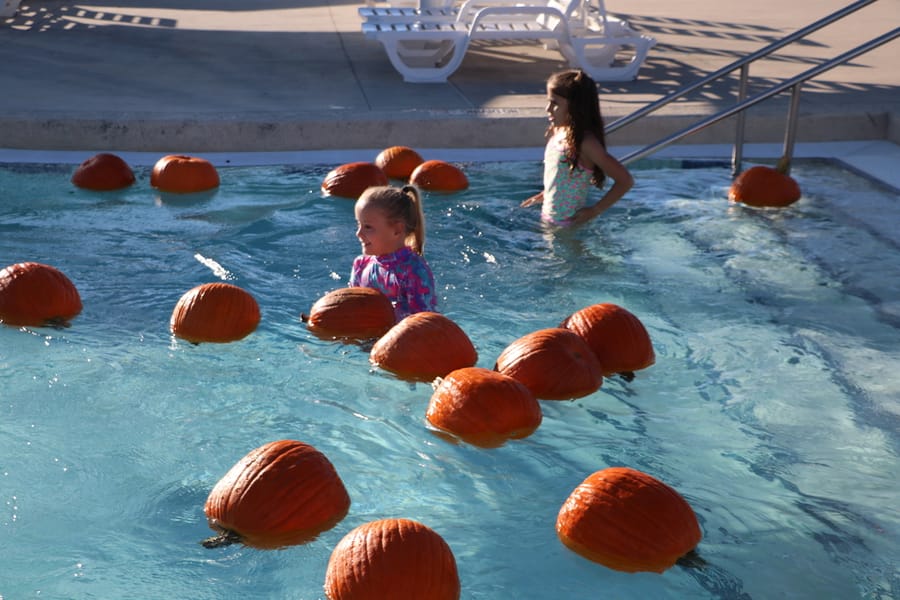 Pumpkin Plunge_20251018 (20)