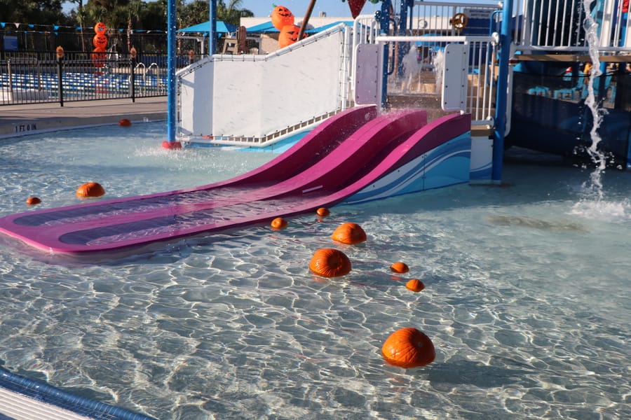 Pumpkin Plunge_20251018 (13)