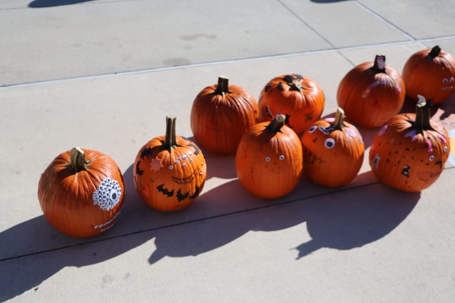 Pumpkin Plunge_20251018 (118)