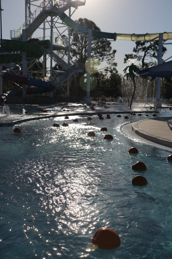 Pumpkin Plunge_20251018 (11)