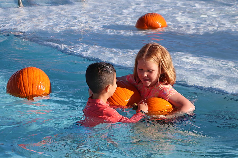 Pumpkin Plunge_20251018 (68)