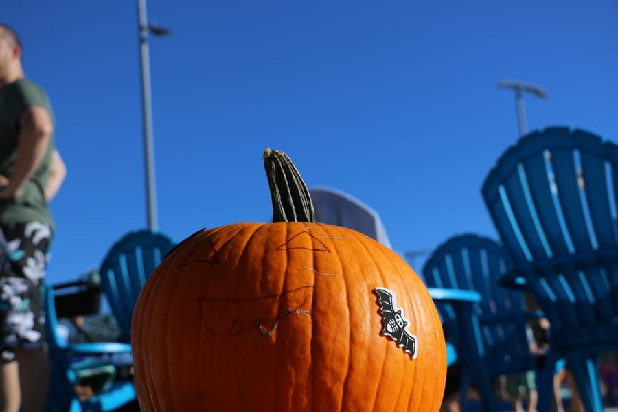 Pumpkin Plunge_20251018_b2 (55)