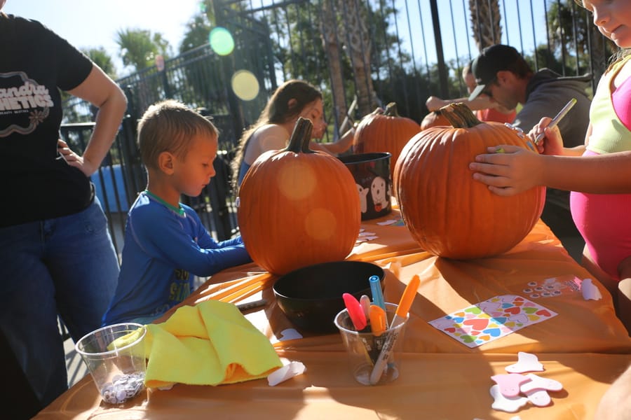 Pumpkin Plunge_20251018_b2 (69)