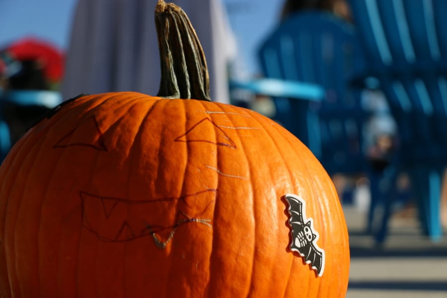 Pumpkin Plunge_20251018_b2 (54)