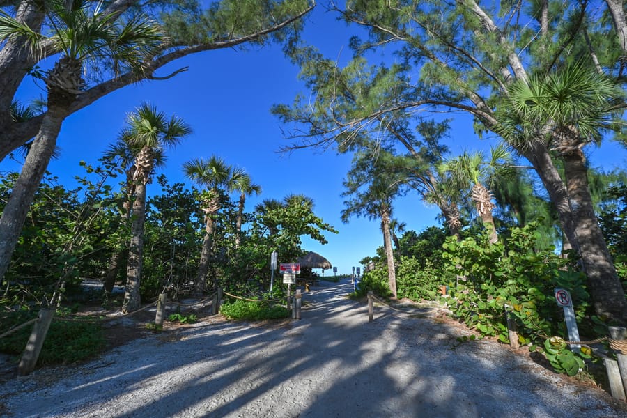 20251017_TurtleBeachCampground_0013_SD