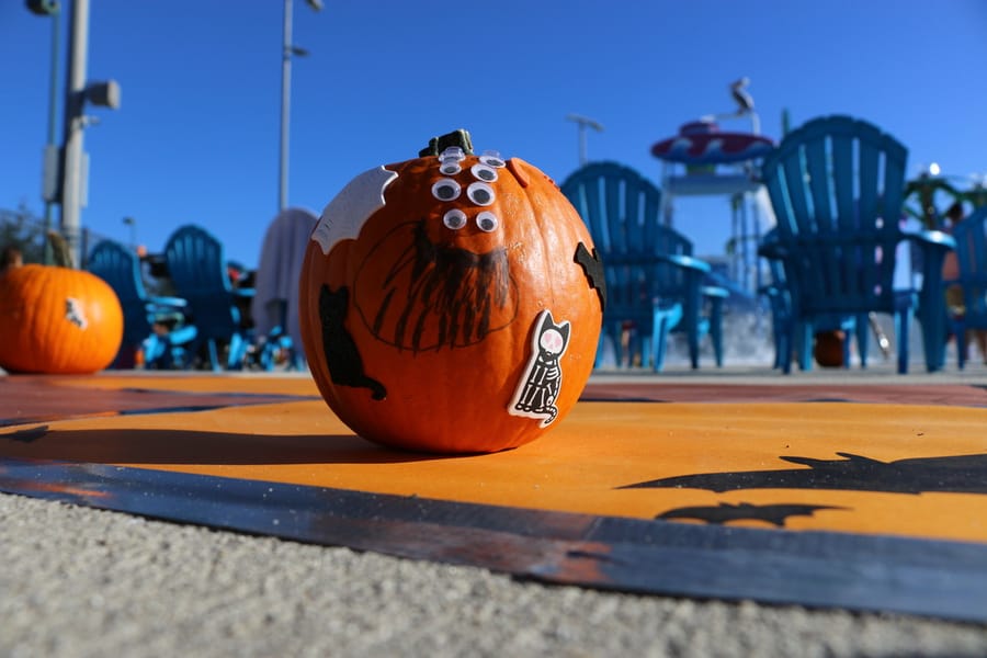 Pumpkin Plunge_20251018_b2 (56)
