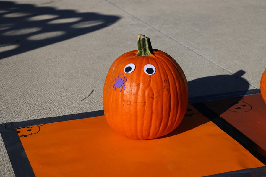 Pumpkin Plunge_20251018_b2 (53)