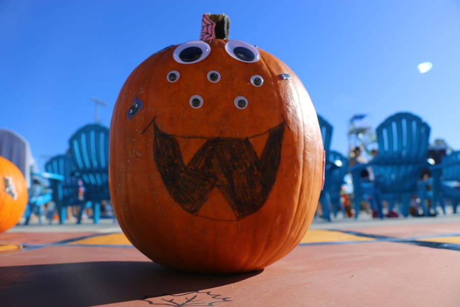 Pumpkin Plunge_20251018_b2 (57)