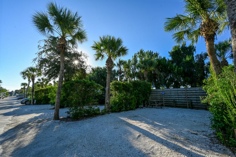 20251017_TurtleBeachCampground_0011_SD