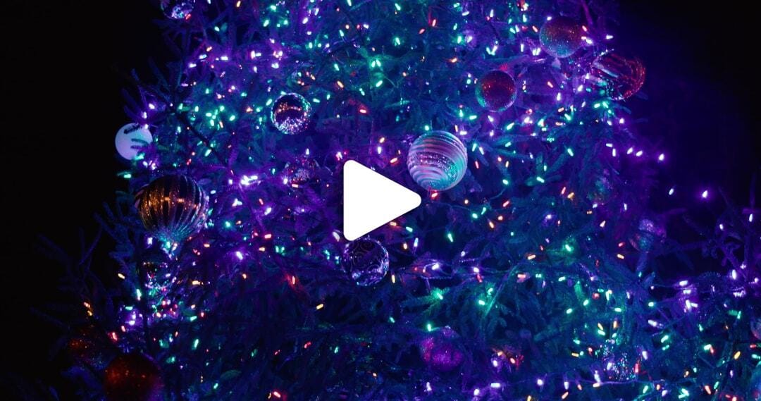Peddler's Village Christmas