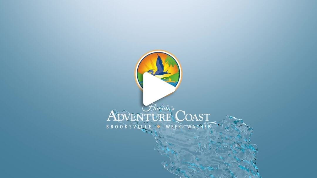 Nov 2025 Fishing Report