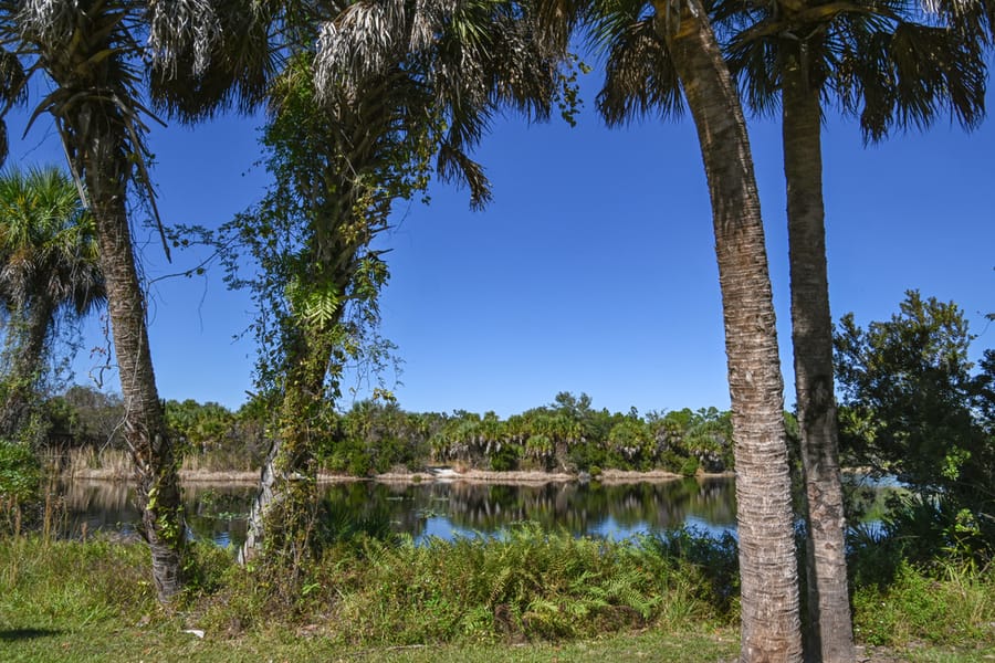 20251115_ESLPP25thAnniversary_1813_SD