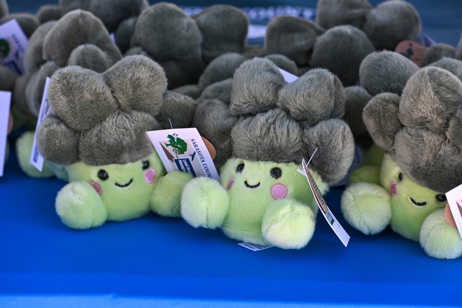 20251115_ESLPP25thAnniversary_0959_SD