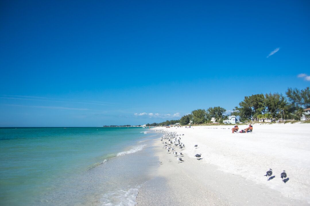 Anna Maria Island Beach