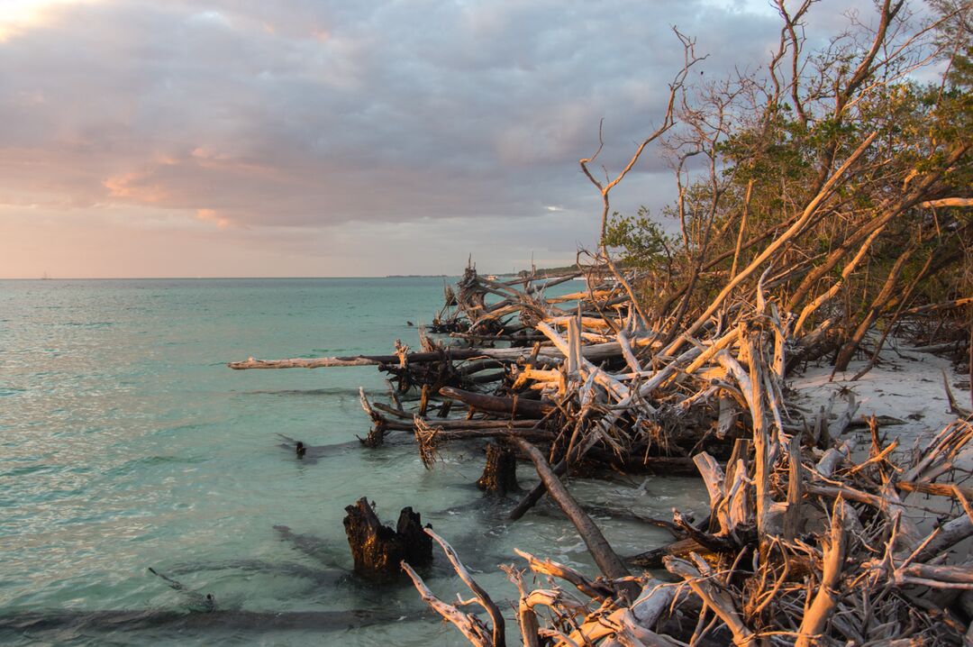 Greer Island