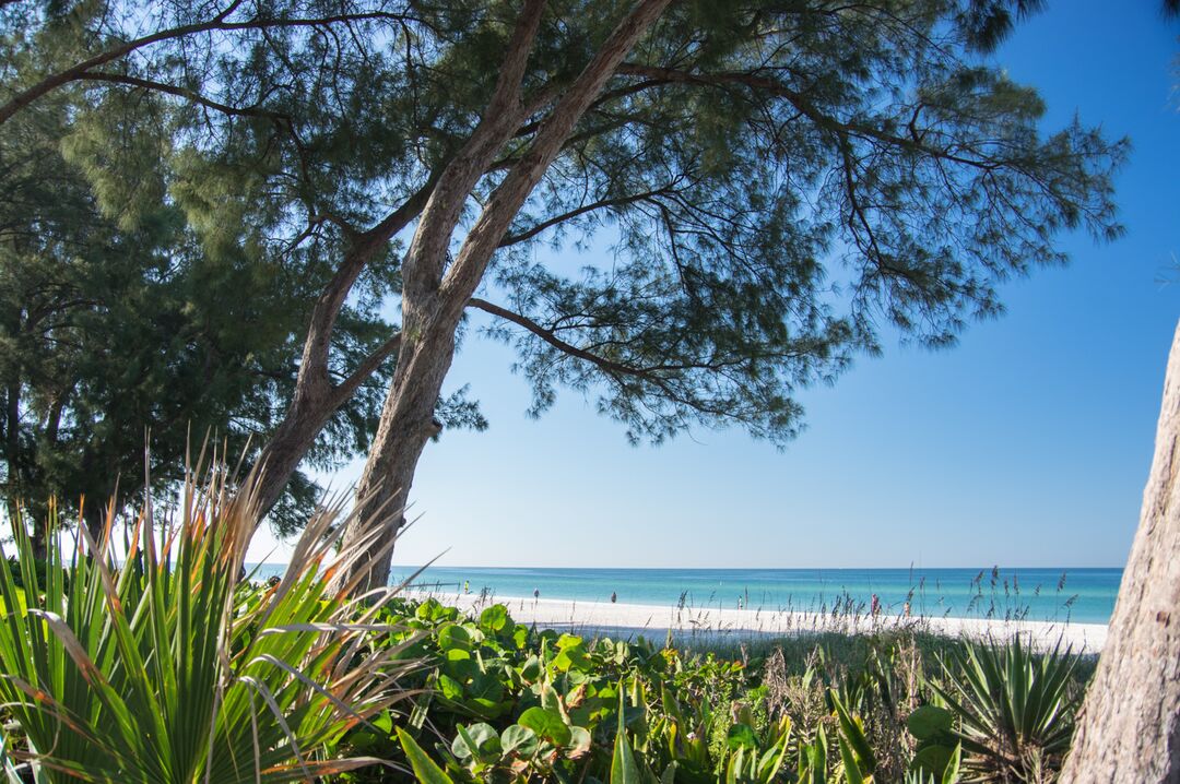 Coquina Beach