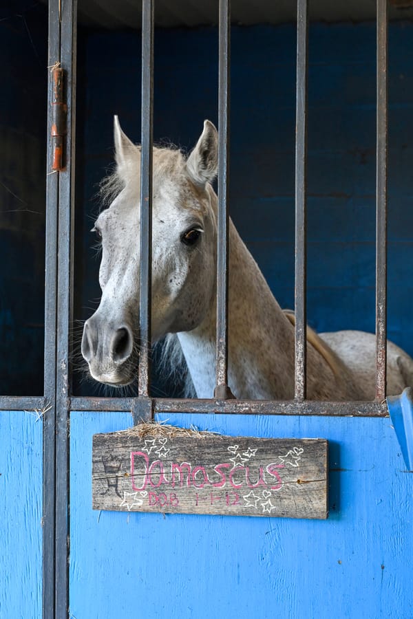20251114_FarmTour_0914_SD