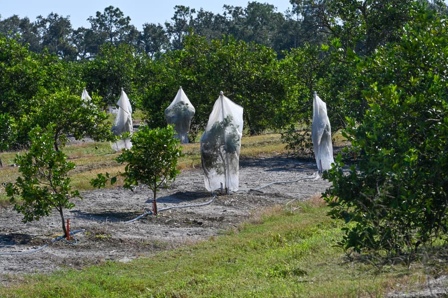 20251114_FarmTour_0830_SD