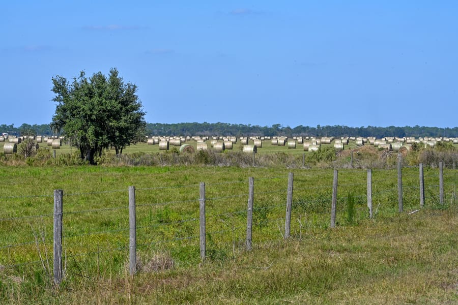 20251114_FarmTour_0756_SD