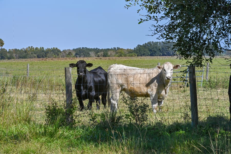 20251114_FarmTour_0774_SD