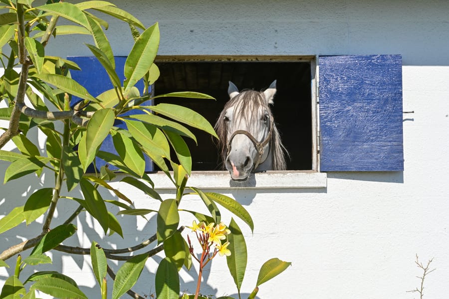 20251114_FarmTour_0879_SD