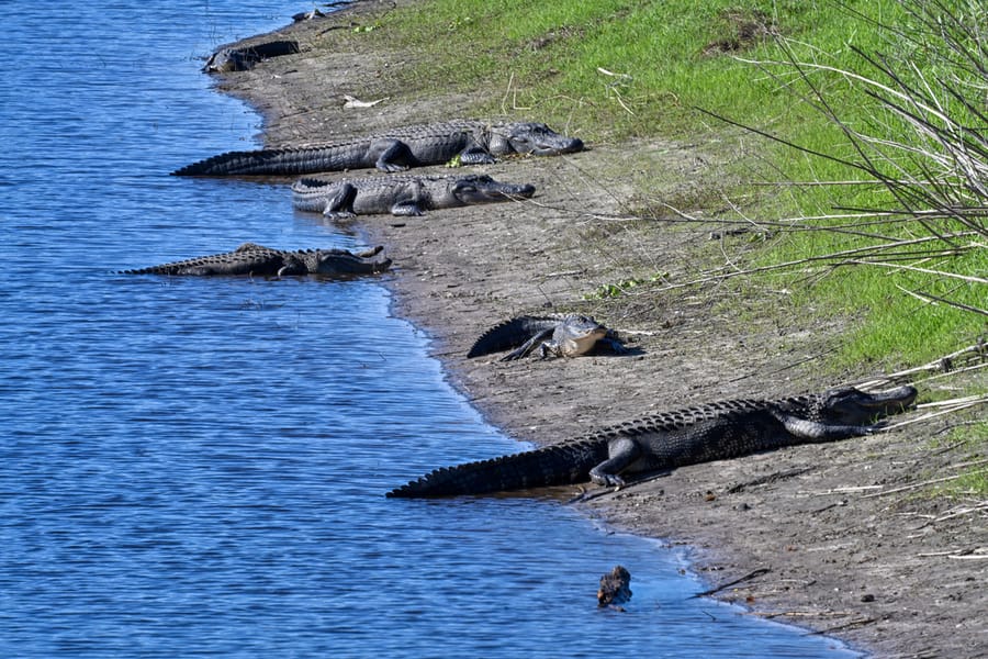 20251114_FarmTour_0254_SD