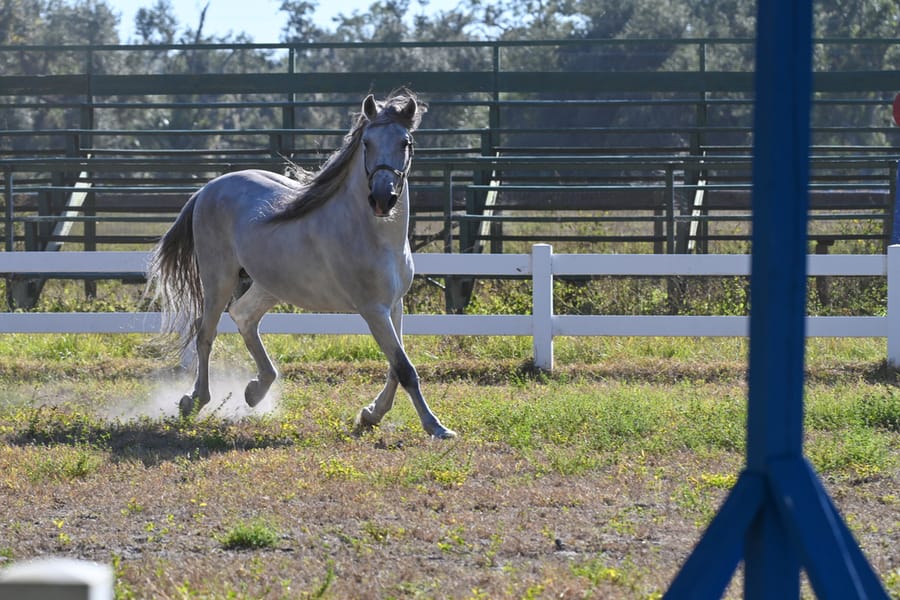 20251114_FarmTour_1799_SD
