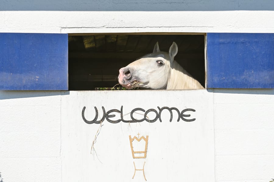 20251114_FarmTour_0865_SD