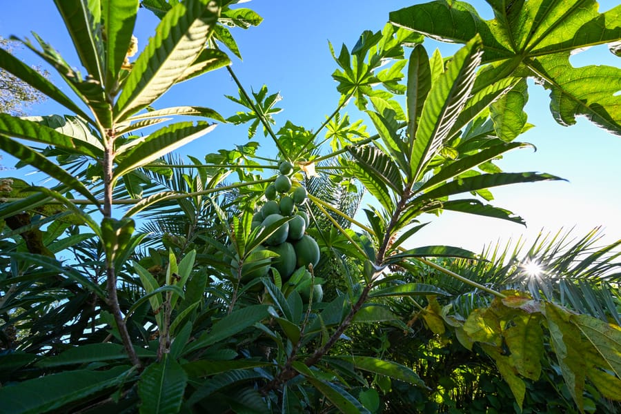 20251113_FarmTour_1345_SD