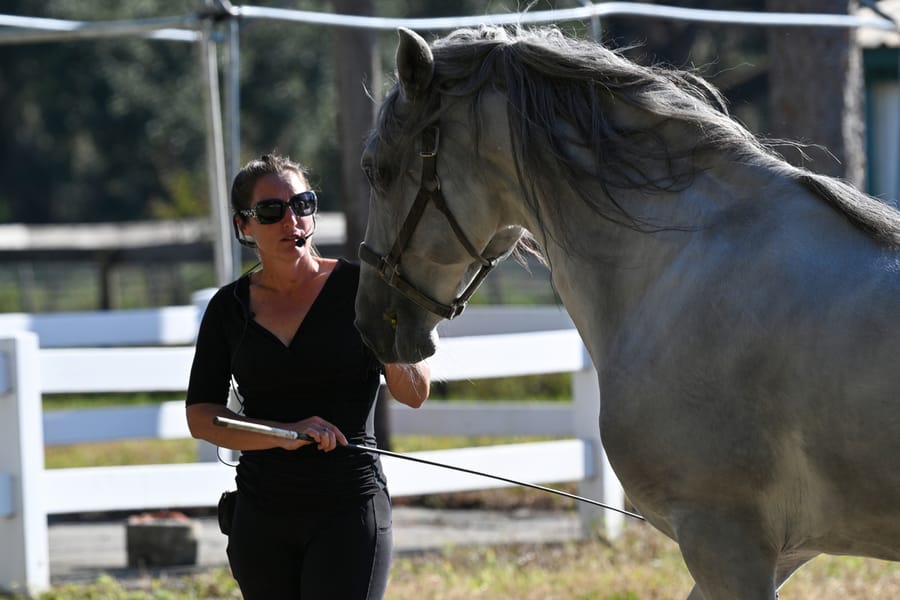 20251114_FarmTour_1801_SD