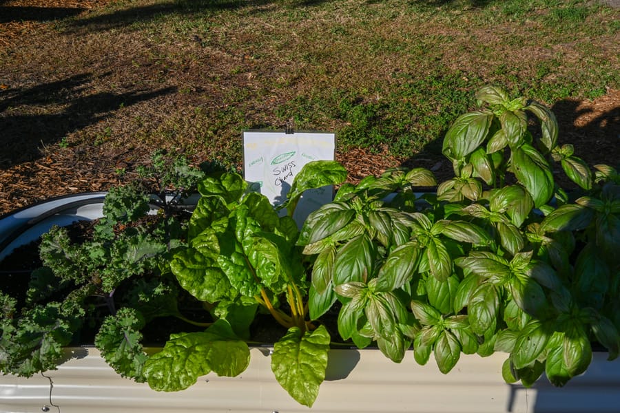 20251113_FarmTour_1358_SD