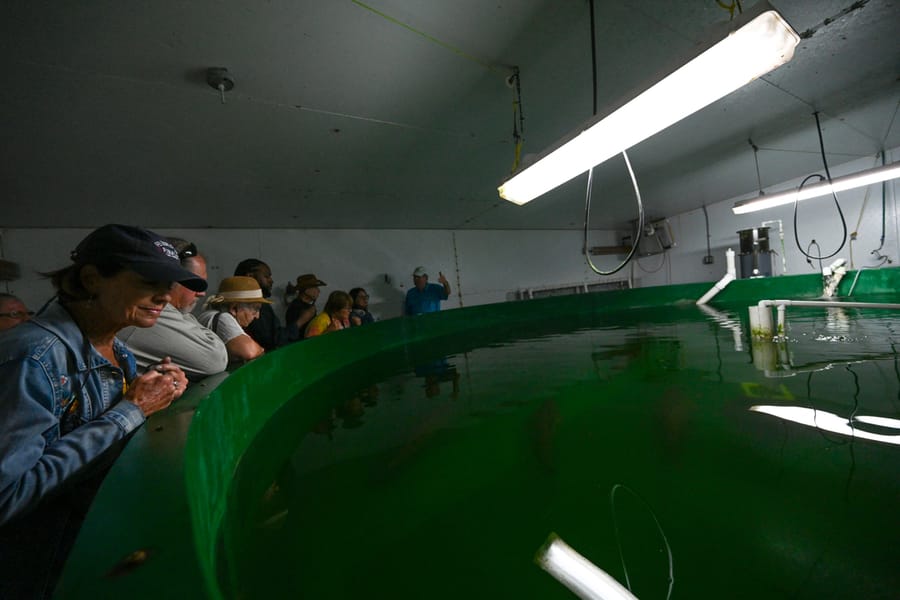 20251114_FarmTour_1795_SD