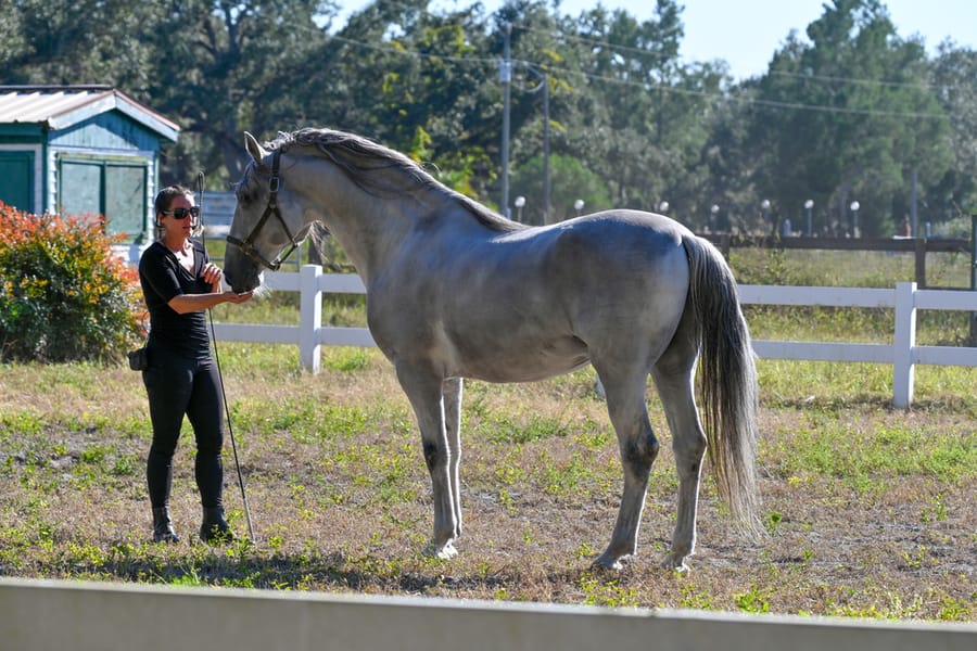 20251114_FarmTour_1800_SD