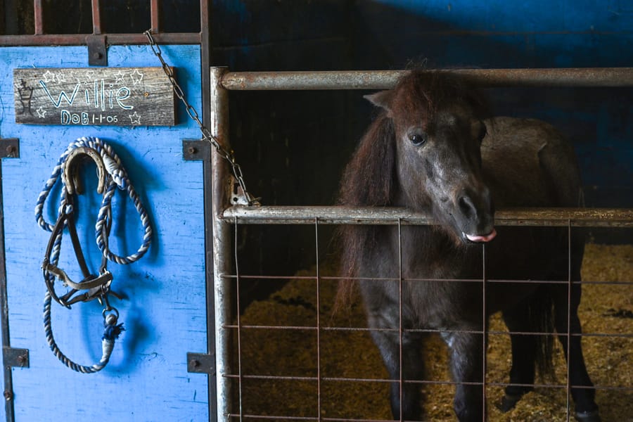 20251114_FarmTour_0926_SD