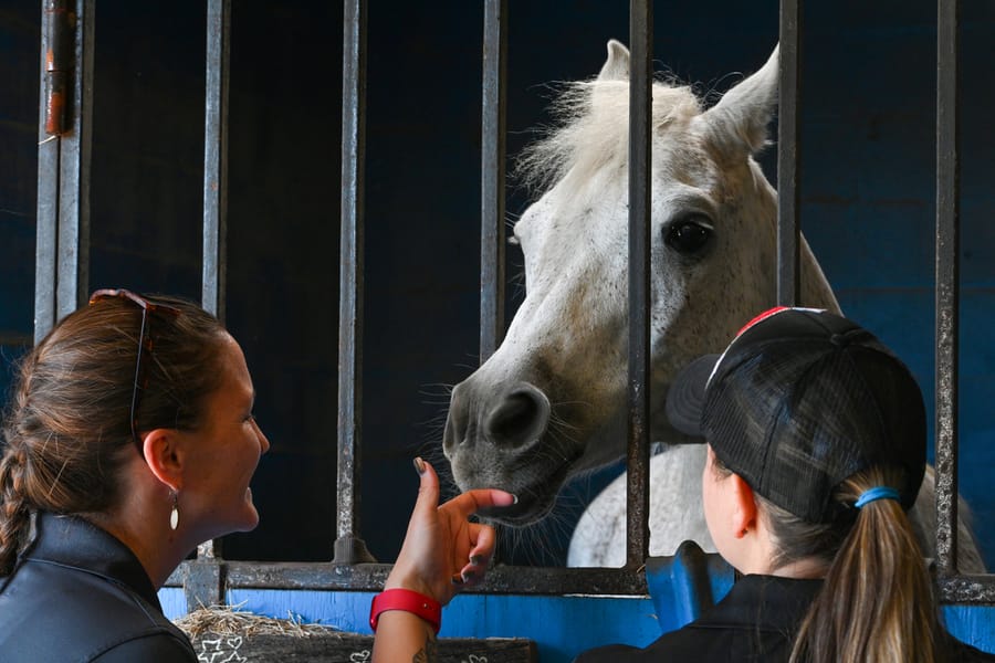 20251114_FarmTour_0885_SD