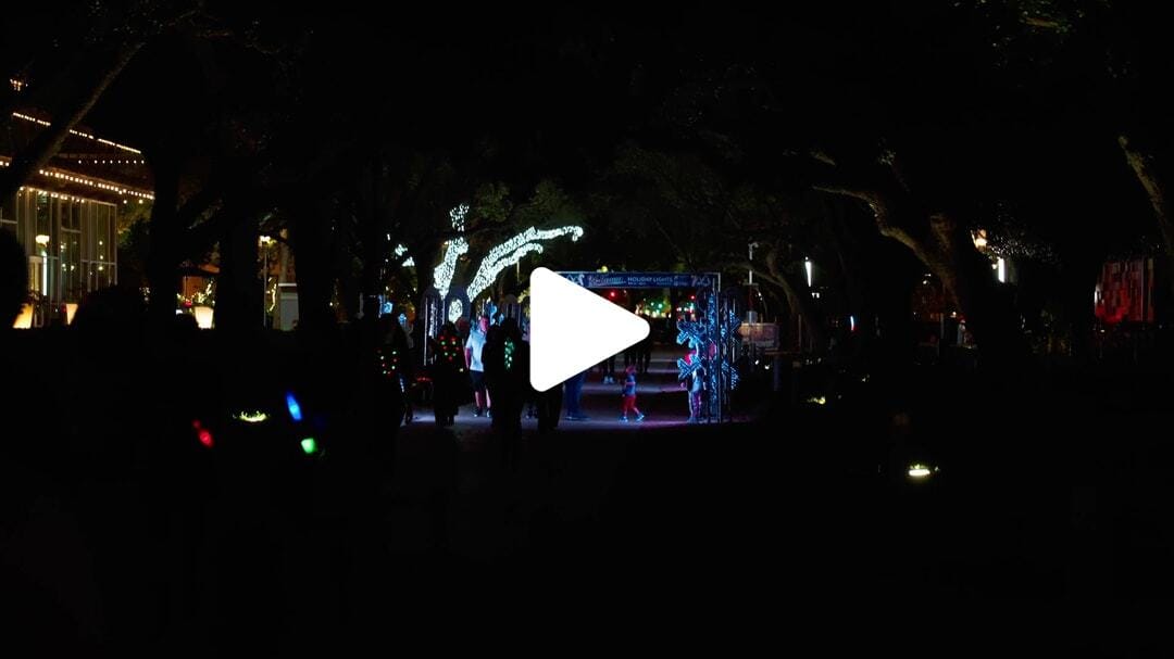 H-Town_Holiday_Lights-Discovery_Green_1