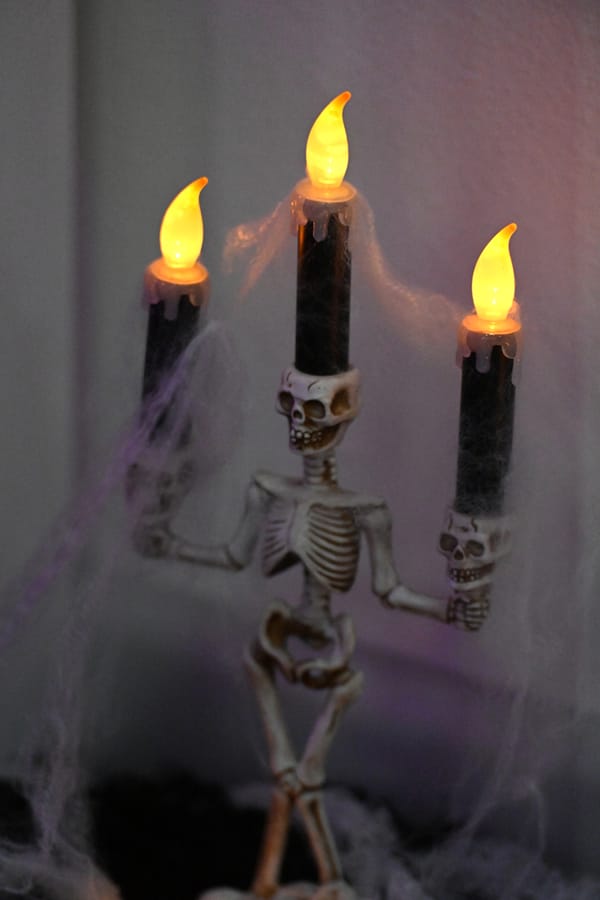 20251031_PDSHalloweenBash_0598_SD