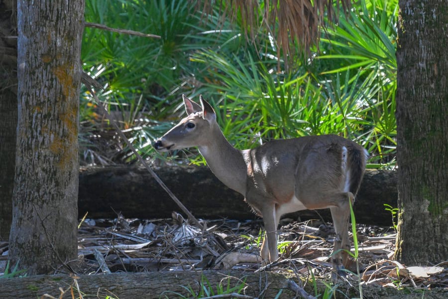 20251114_FarmTour_0293_SD