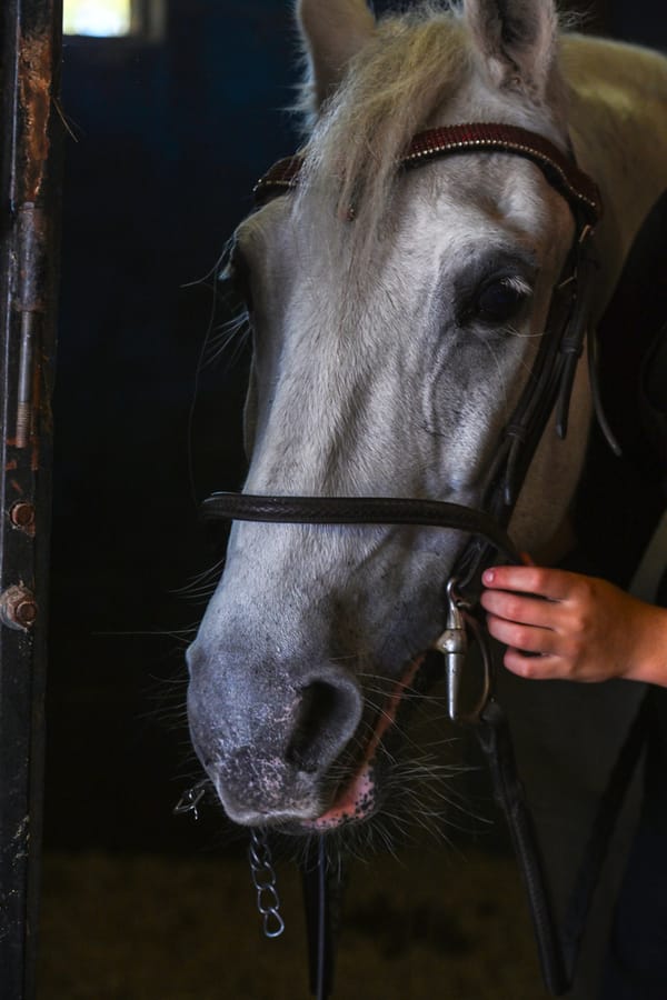 20251114_FarmTour_0940_SD