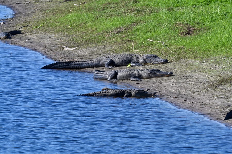 20251114_FarmTour_0252_SD