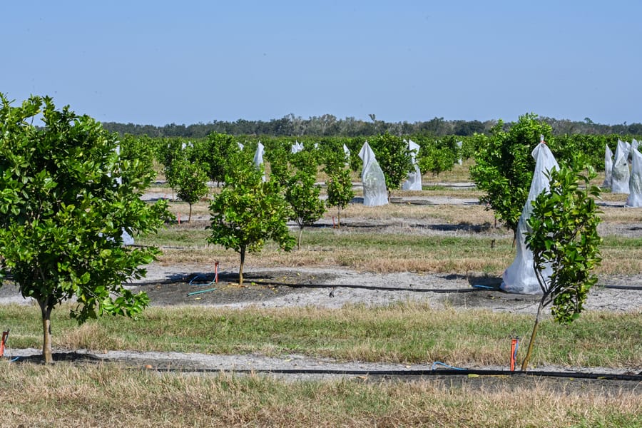 20251114_FarmTour_0833_SD