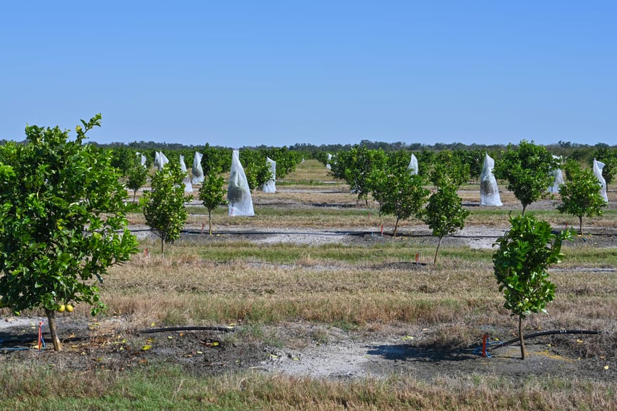 20251114_FarmTour_0787_SD