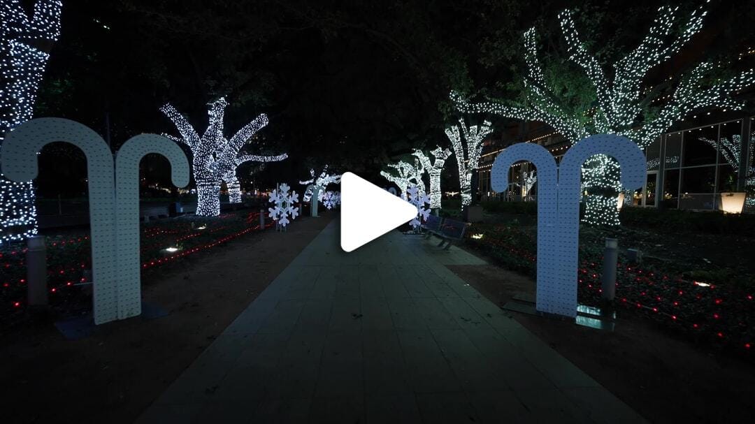 H-Town_Holiday_Lights-Discovery_Green_3