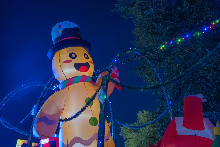 PoinsettiaParade_CD (12)