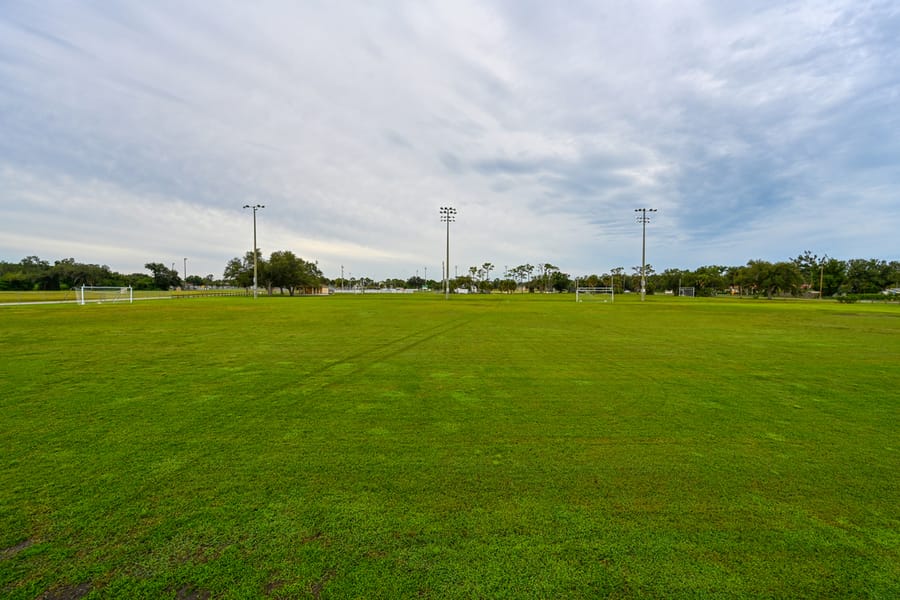 20250917_WellfieldPark_005_SD