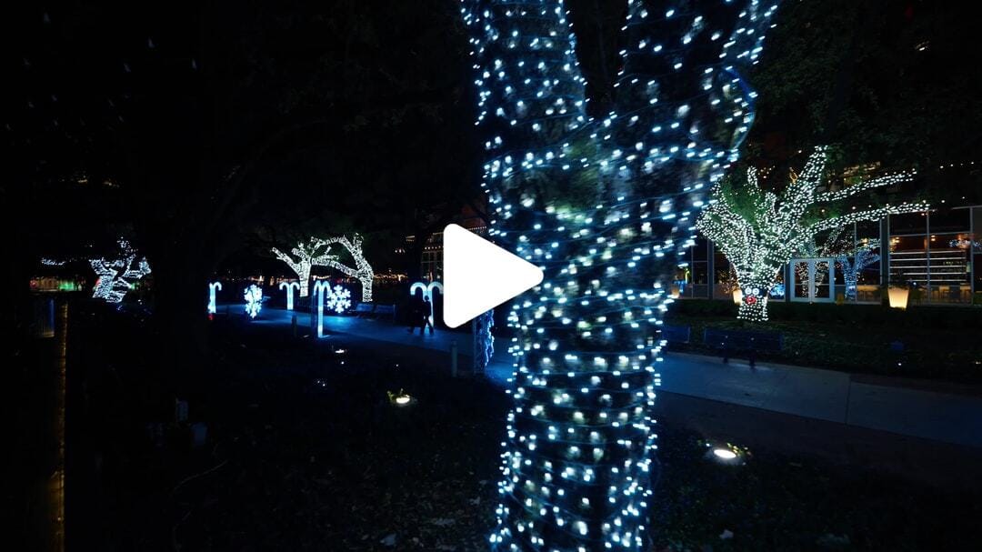 H-Town_Holiday_Lights-Discovery_Green_4